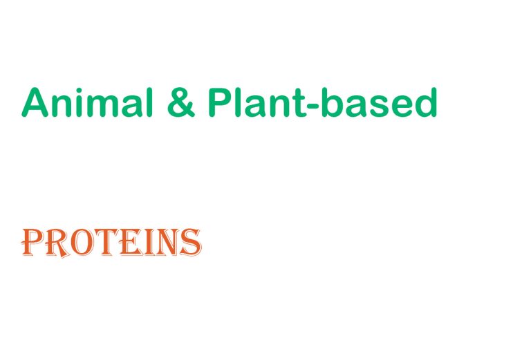 Animal & Plant-based Proteins