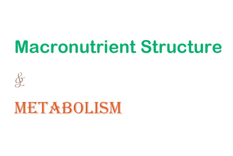 Macronutrient Structure & Metabolism